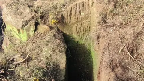 portada_somoscomarca_osbiocos_autorgabinorodriguez