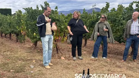somoscomarca_vino_parcela_fardelas_milrios_cepasvellas_revival836