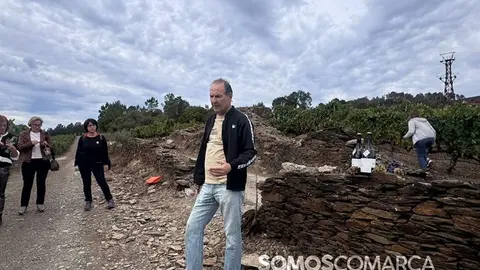 somoscomarca_vino_parcela_fardelas_milrios_cepasvellas_revival837