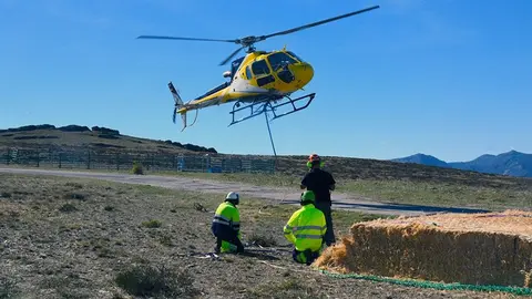 somoscomarca_20251001_carballeda_xunta_comida_fauna_helicoptero1650