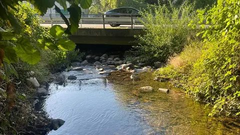 somoscomarca_20251006_vilamartin_arcos_denuncia_rio_farelos1687