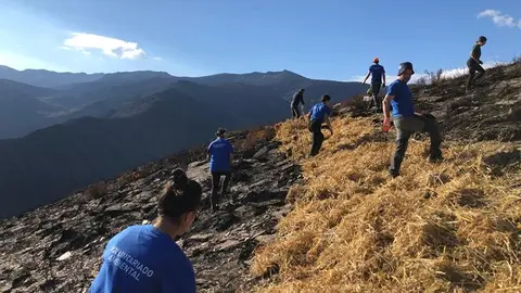 somoscomarca_casaio_manzaneda_voluntariado_mulchin (1)