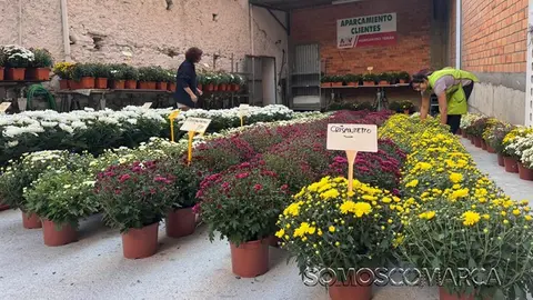 somoscomarca_20251016_obarco_agricentroteran_flores_santos1794