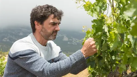 somoscomarca_20251021_julian_palacios_poda1819