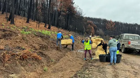somoscomarca_vilamartin_voluntariado_mulching (4)