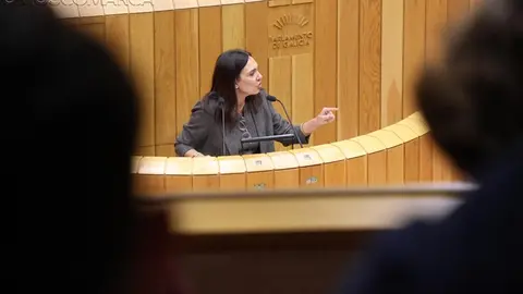 somoscomarca_20251105_carmendacosta_psoe_parlamento1951