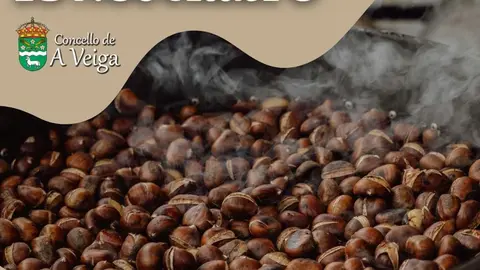 cartel_magostoaveiga