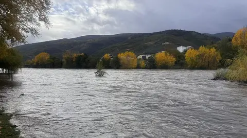 somoscomarca_20251114_obarco_sil2020