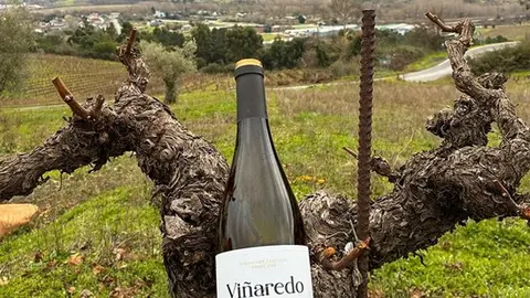 somoscomarca_20260109_vilamartin_santamarta_vi&ntilde;aredo_nuevaimagen2446