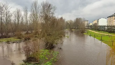 somoscomarca_20260126_obarco_lluvia_sil2577
