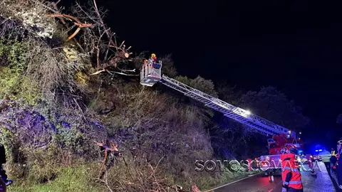 somoscomarca_20260129_obarco_viento_arbol_pino_santigoso2624