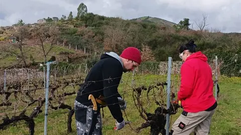 somoscomarca_202600303_inorde_cursopoda3123