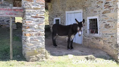 somoscomarca_quiroga_mostradoaceite43
