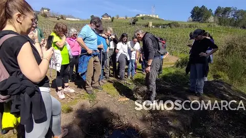 somoscomarca_corgomo_asbarreirasouro_santiagoferrer (1)