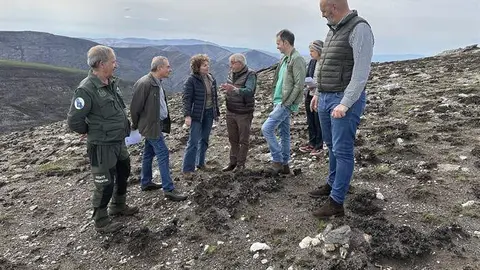 somoscomarca_202600421_chandrexadequiexa_recuperacion_incendios3353