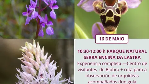cartel_parque