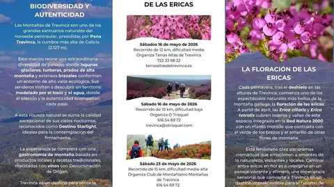 cartel_aveigarutas
