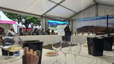 somoscomarca_feriadelvinodecacabelos (1)