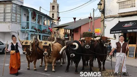 portada_somoscomarca_petin_feria18121359