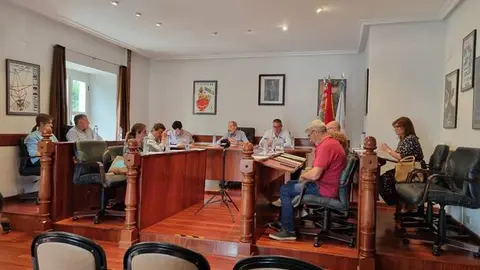 somoscomarca_20260060120625_viana_plenoextraordinario3724