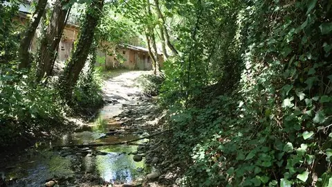 somoscomarca_arua_pinguelas_regueirodaruaJPG (1)