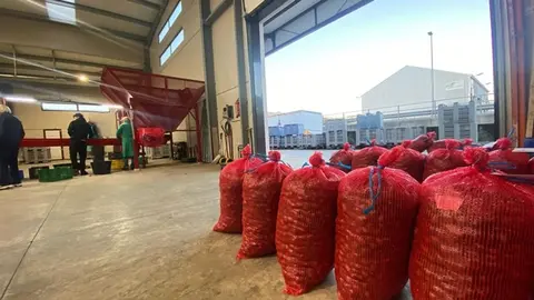 La campaña de la castaña se presenta como una de las más escasas de los últimos años