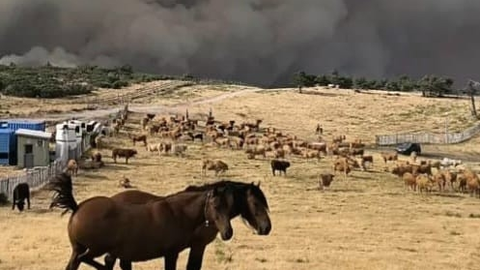 El fuego obliga a evacuar aldeas en Trives y a confinar a 170 menores en la Estación de Manzaneda