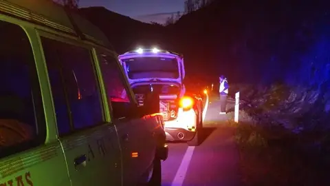 Atropello de un corzo en la N-120 a su paso por A Rúa