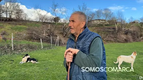 O monte tenta volver medrar mentres Manolo segue coidando dos seus animais
