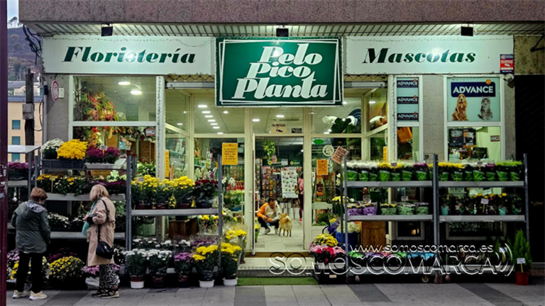 Centros florales y crisantemos marcan la campaña de Todos los Santos en Valdeorras
