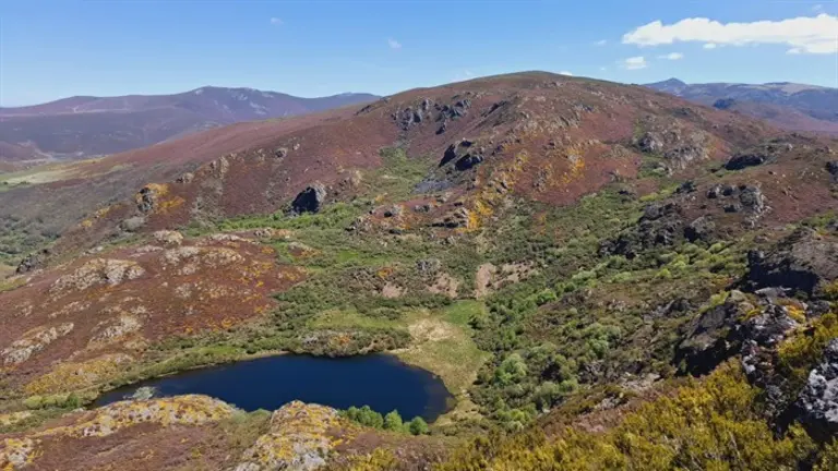 A Veiga llega a FITUR con una apretada agenda de trabajo y la floración en Trevinca como atractivo del turismo natural
