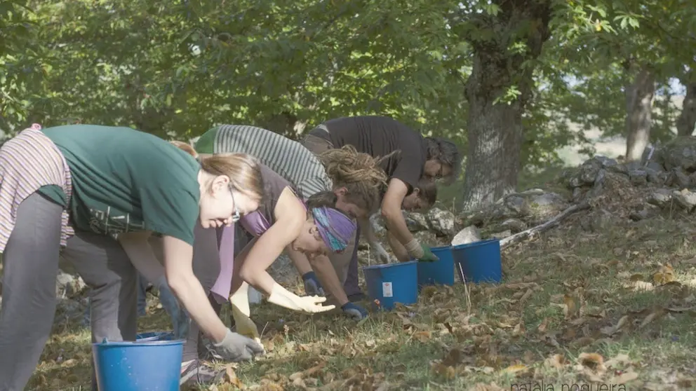 Imagen de la web de Amarelante