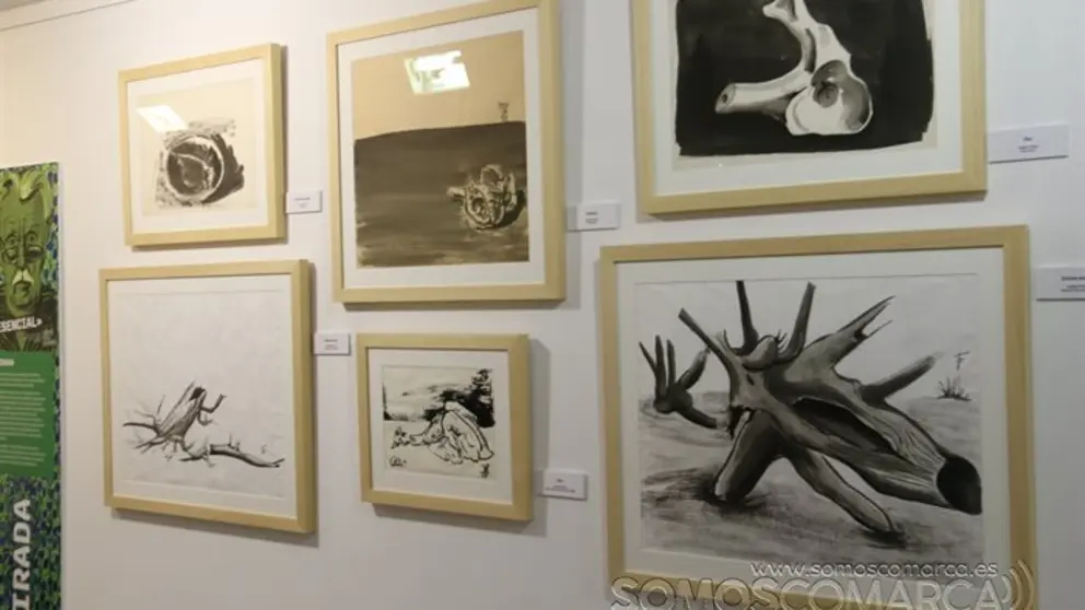 somoscomarca_obarco_exposicion_jesusdiazferrer_2022 (26)