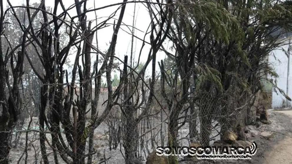 incendio_alixo_obarco (31)