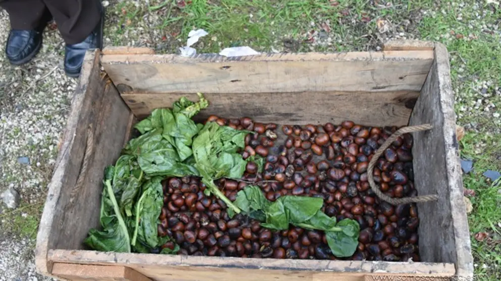 somoscomarca_rubia_magostosolidario_castañas_interparroquial_2023 (23)