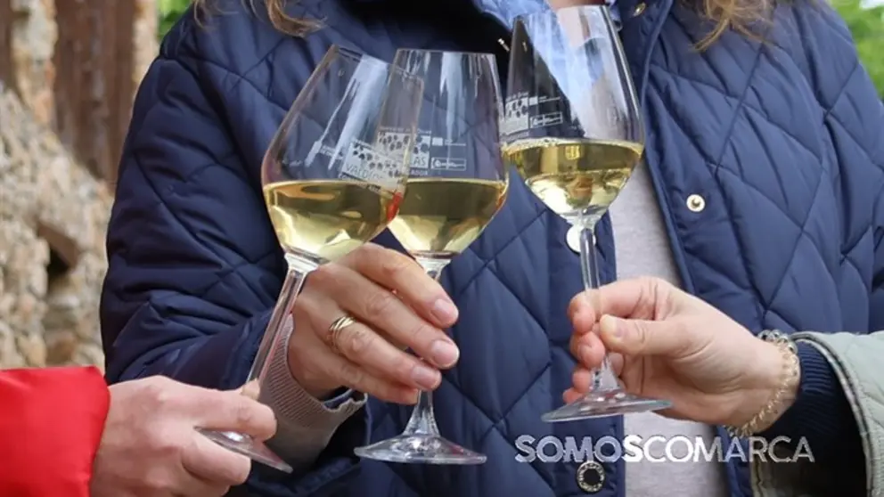 somoscomarca_2404226_xagoaza_rutadelvino_brindis_godello_copagodello_22 (4)