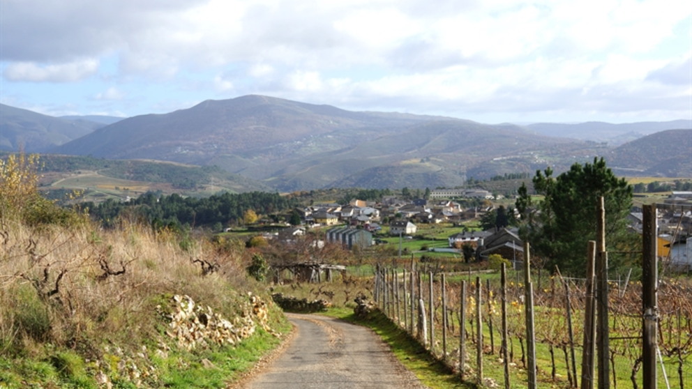 somoscomarca_20241208_larouco_panoramica_rutaromana (2)