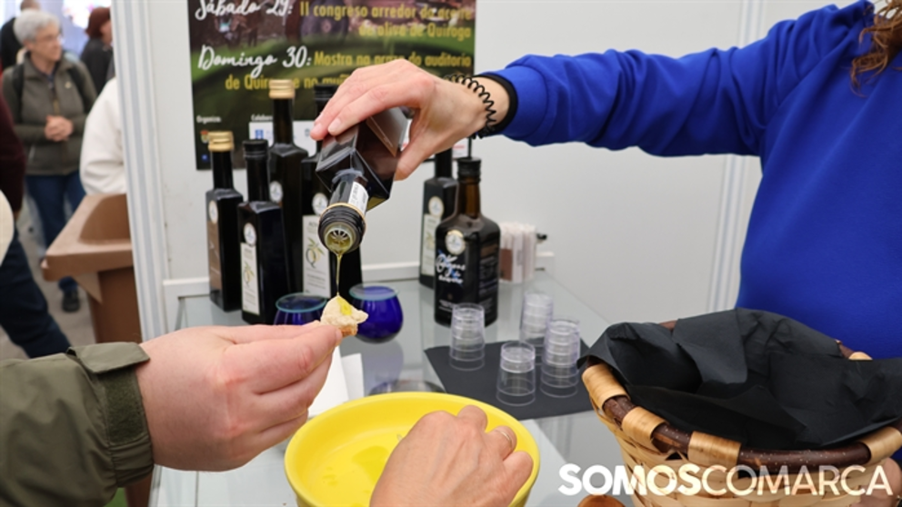 portada_somoscomarca_quiroga_mostradoaceite (18)