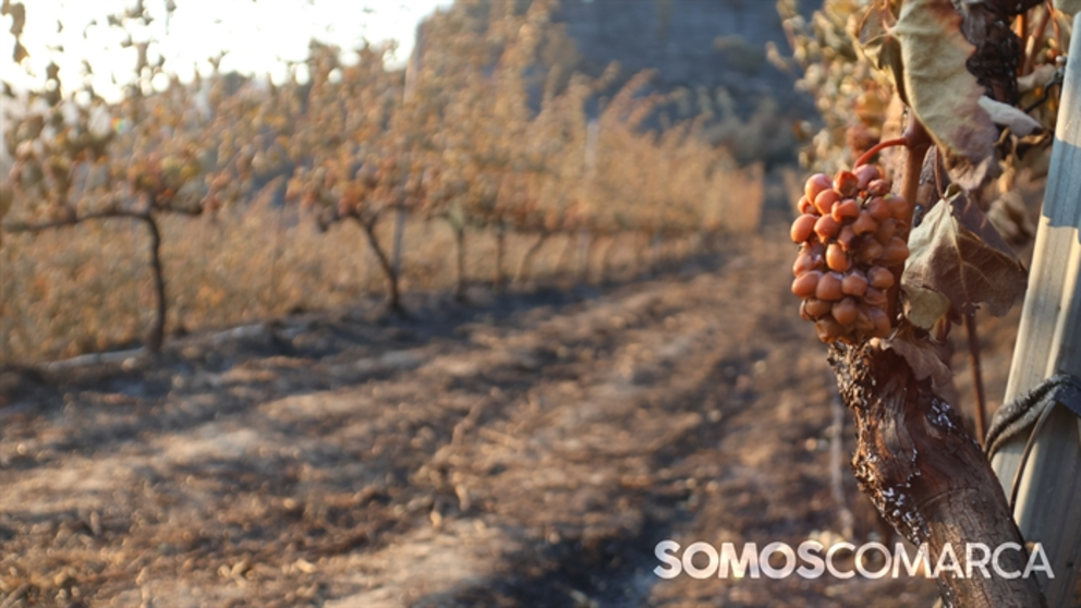 somoscomarca_albaredos_incendio_albaredos_hobbs3400