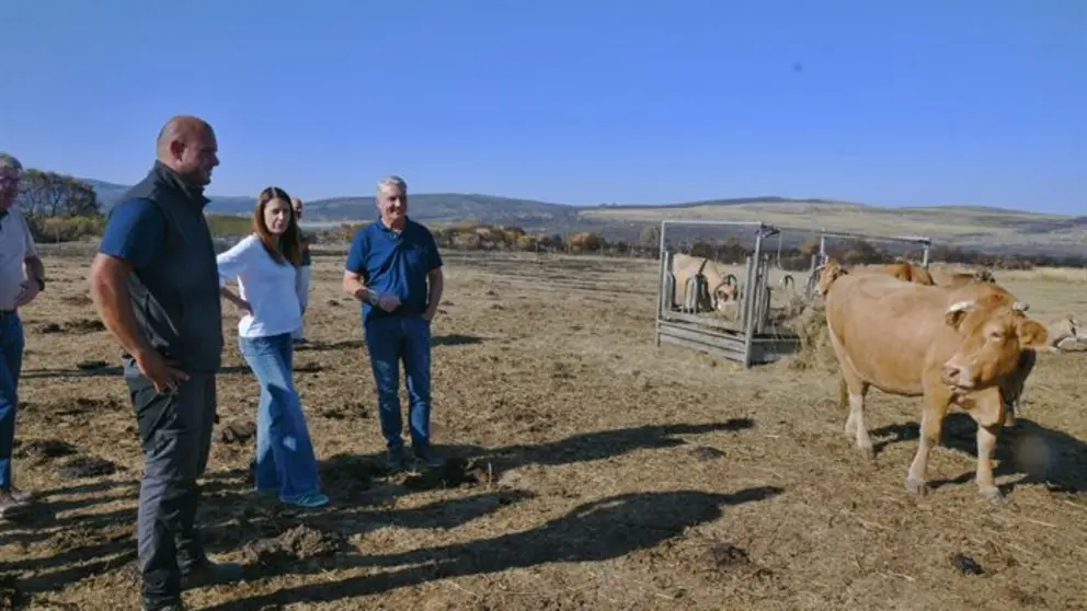 somoscomarca_vilariño_mariajosegomez