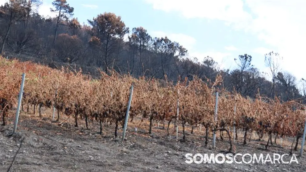 somoscomarca_lentellais_incendio (5)