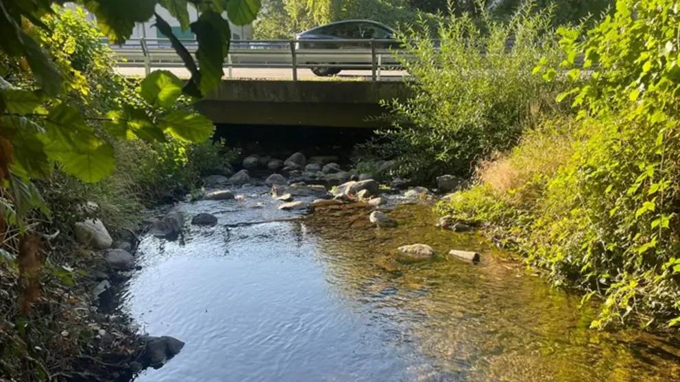 somoscomarca_20251006_vilamartin_arcos_denuncia_rio_farelos1687