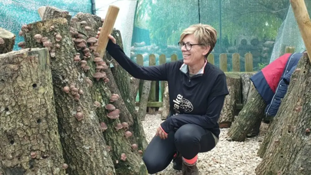 somoscomarca_20251107_trives_setas1968