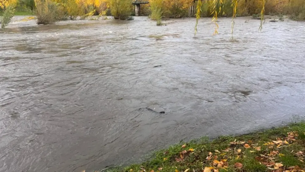 somoscomarca_20251114_obarco_sil2021