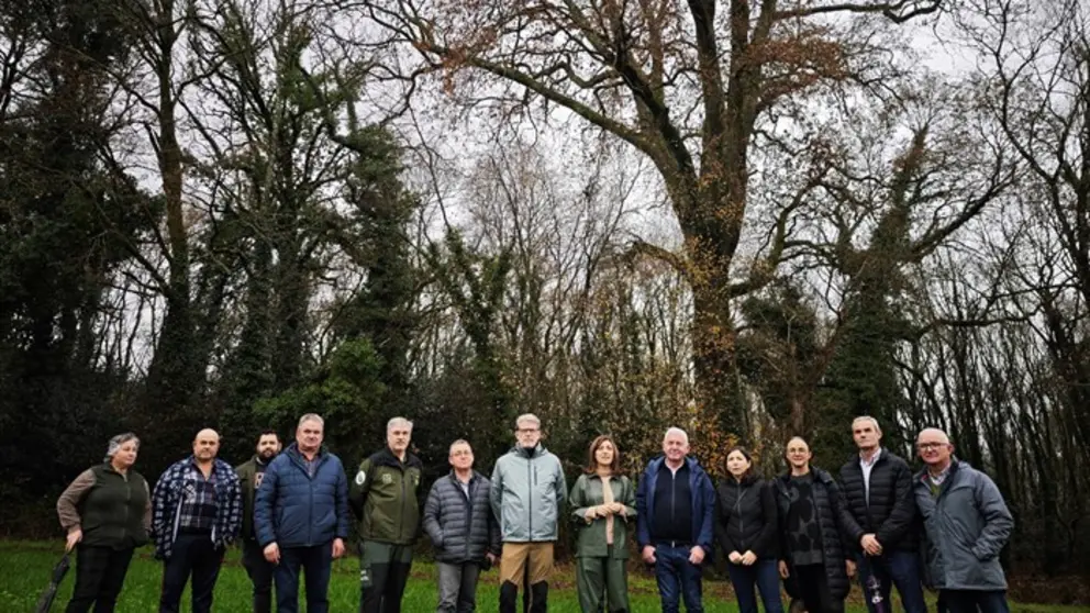 somoscomarca_20251212_xunta_Arboles2270