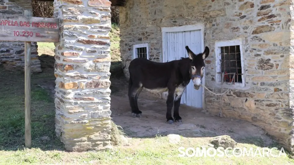 somoscomarca_quiroga_mostradoaceite43