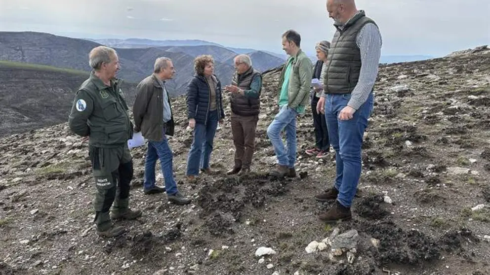 somoscomarca_202600421_chandrexadequiexa_recuperacion_incendios3353