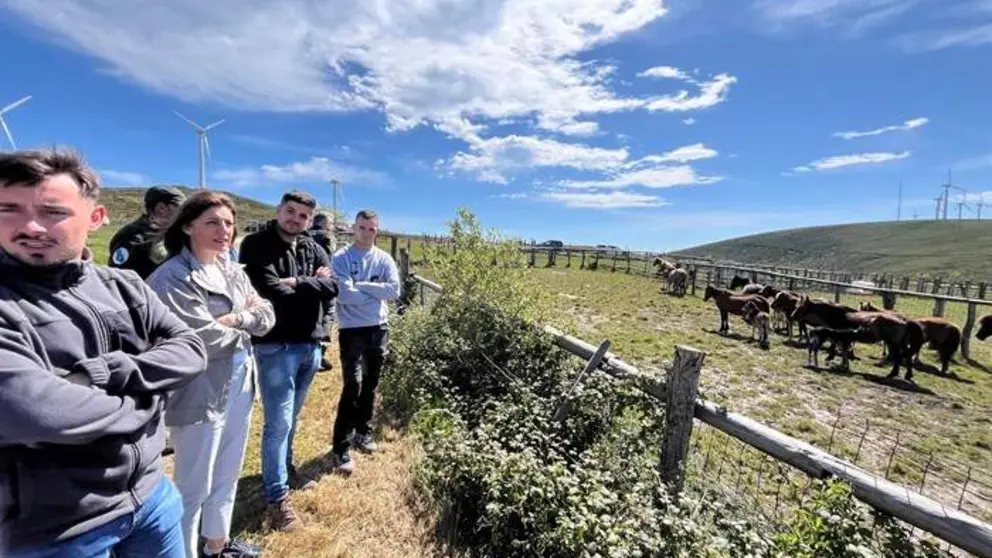 P_somoscomarca_202600520_vilalba_conselleria_lobo3545