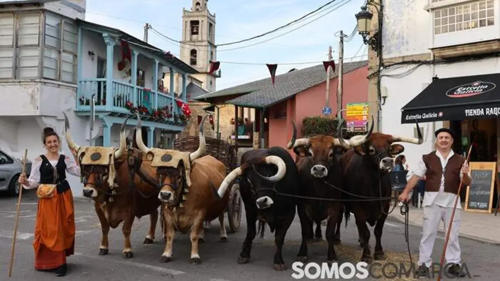 somoscomarca_petin_feria18121359