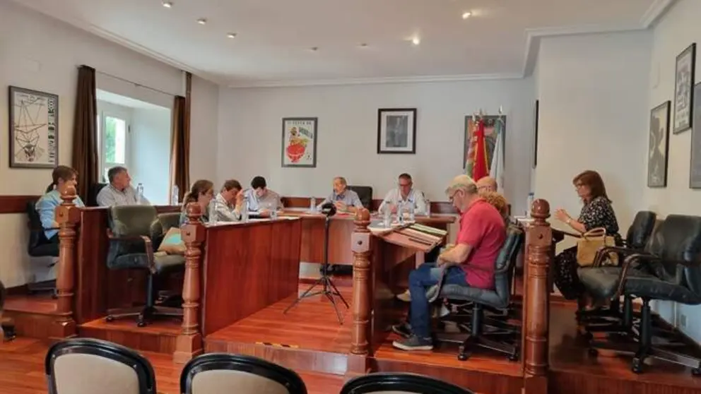 somoscomarca_20260060120625_viana_plenoextraordinario3724